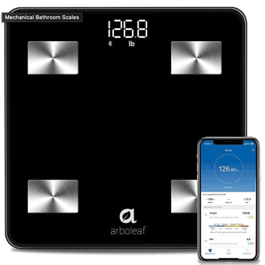Arboleaf smart scale review