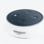 Alexa versus Echo - Are They The Same Thing?! (NOT Really...)