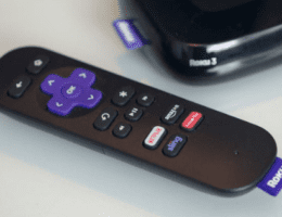 Does Roku Work on Any TV?