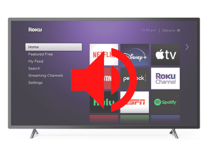 Roku TV No Sound